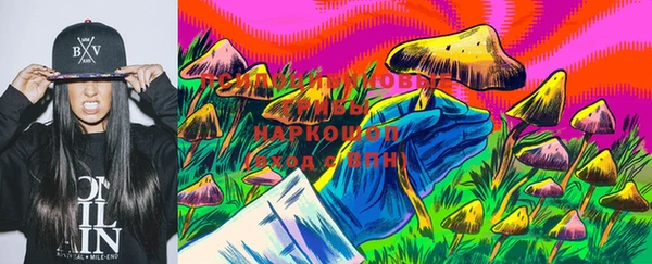 дурь Корсаков