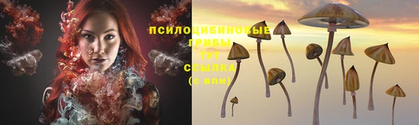 трава Козельск