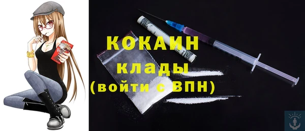 прущие крисы Верея