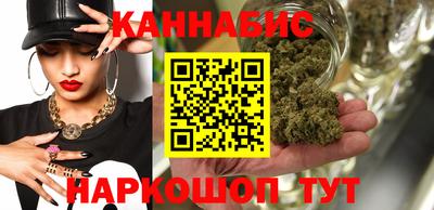индика Будённовск