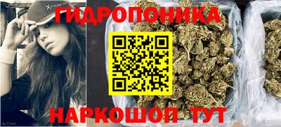 индика Будённовск