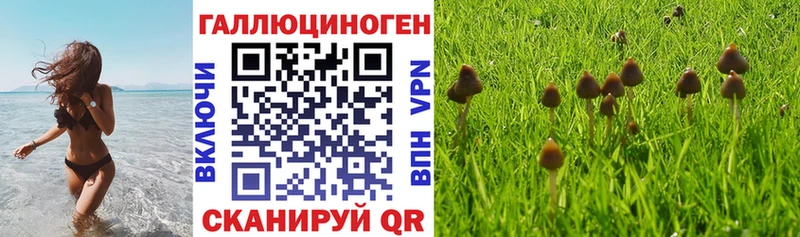 Галлюциногенные грибы GOLDEN TEACHER  мега как зайти  Назрань  где можно купить наркотик 
