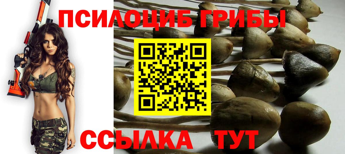 Псилоцибиновые грибы ЛСД  Назрань  Галлюциногенные грибы Magic Shrooms 