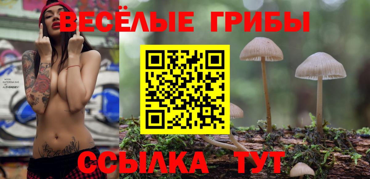 Галлюциногенные грибы Cubensis  Галлюциногенные грибы прущие грибы  Назрань  Вход с VPN 