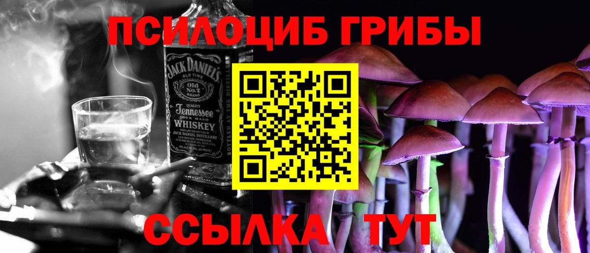 Псилоцибиновые грибы Cubensis Назрань