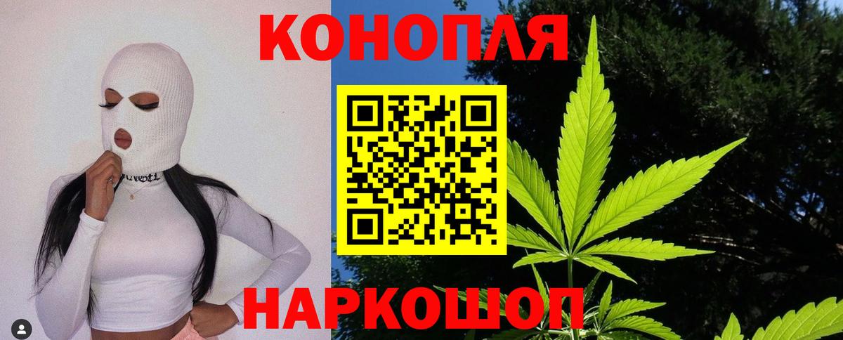 Шишки марихуана планчик Назрань
